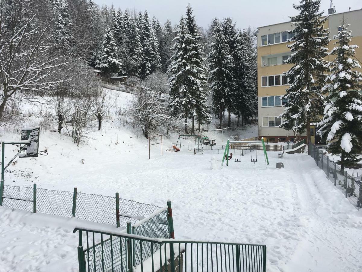 Appartamento Mieszkanie "Panorama" Krynica-Zdrój Esterno foto